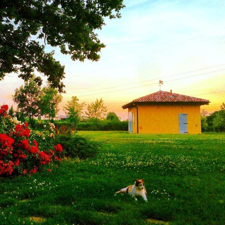Vigorso 41 Country House Budrio  Exterior foto
